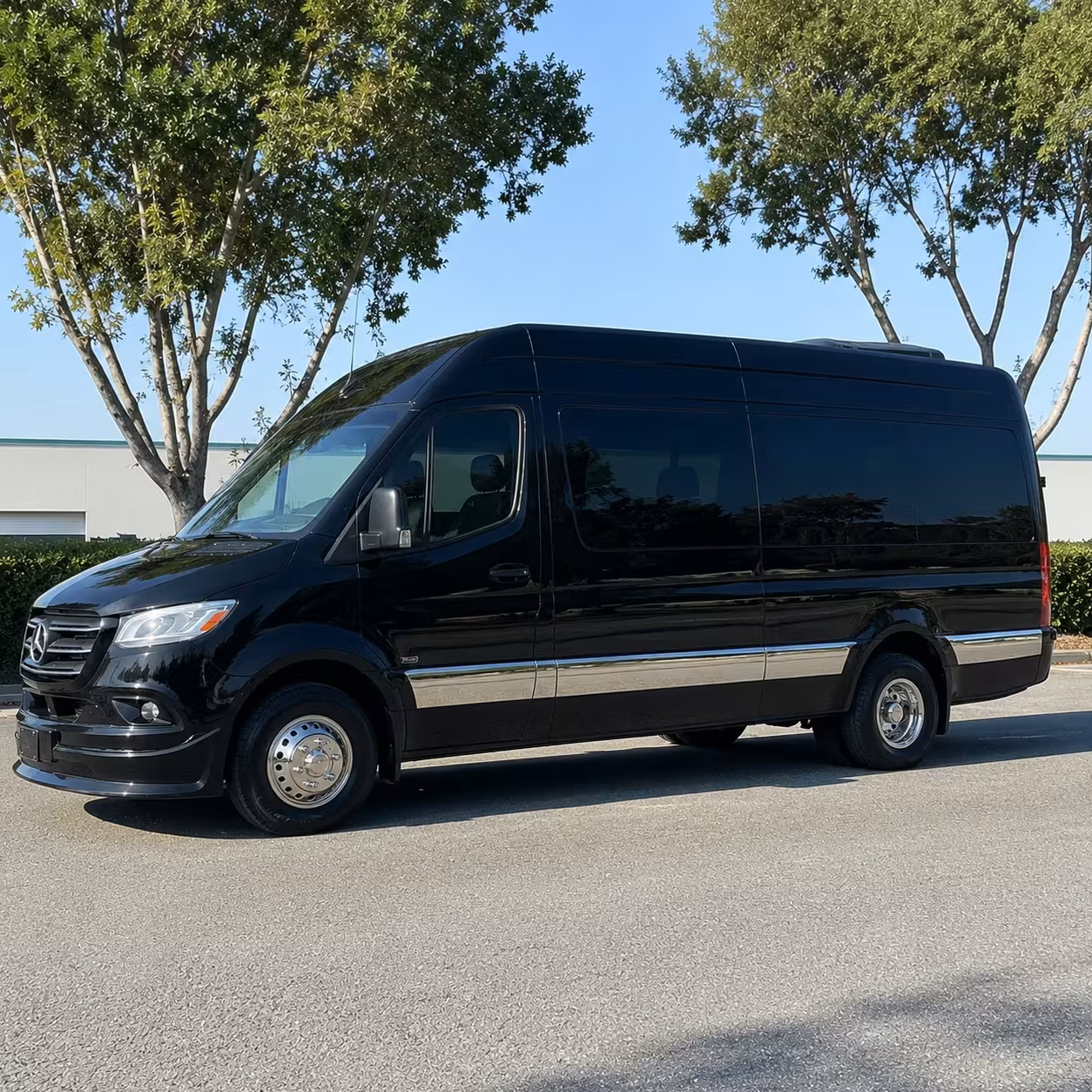 sprinter limousine